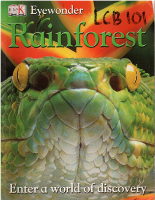 Eyewonder Rainforest